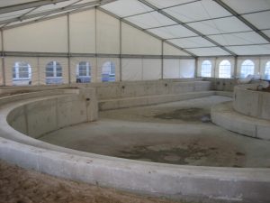 Baustelleneinhausung Schwimmbadbderdachung